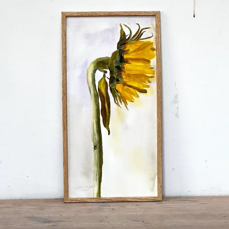 Akvarel - Solo solsikke - 26x52cm inkl ramme