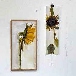 Akvarel - Solo solsikke - 26x52cm inkl ramme