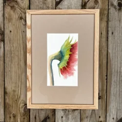 Akvarel - Sunflower - A3 inkl ramme