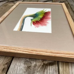 Akvarel - Sunflower - A3 inkl ramme