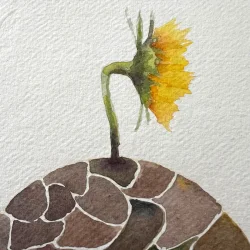 Akvarel - Solitr - A4