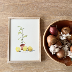 A4 kort - Lille citrontr