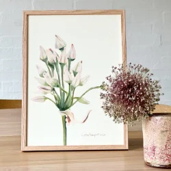 Original akvarel - Blomsterstand - indrammet 36x26cm