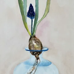 Akvarel - Perlehyacint i glasvase - 30x40cm