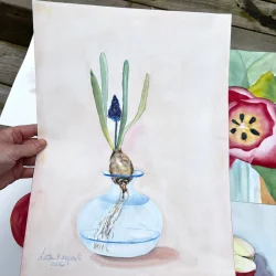 Akvarel - Perlehyacint i glasvase - 30x40cm