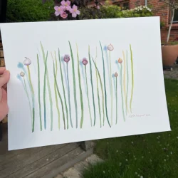 Original akvarel - Purl�g med blomsterknopper - 30x40cm