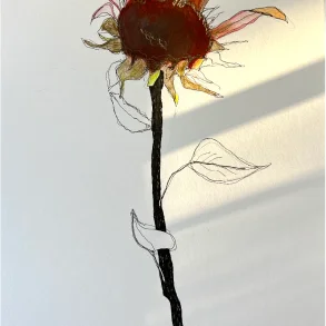 Tegning - Rd solsikke - A3
