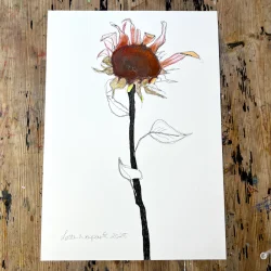 Tegning - Rd solsikke - A3