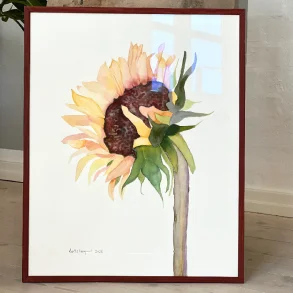 Akvarel - R�dlig solsikke - 40x50cm inkl ramme