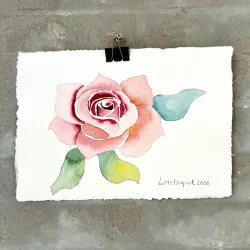 Akvarel - Rose - A4