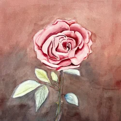 Akvarel - Rosen - 40x50cm