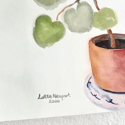Original akvarel - Plante med r�de blomster - A4