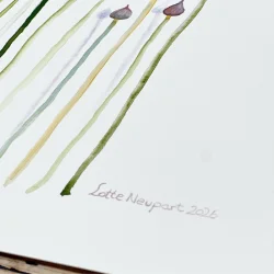 Original akvarel - Purl�g - 30x40cm inkl ramme