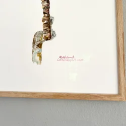 Akvarel - �bleblomst - 30x40cm