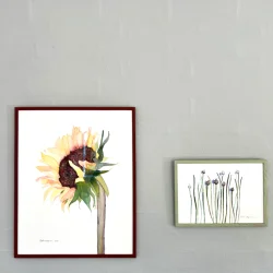 Akvarel - R�dlig solsikke - 40x50cm inkl ramme