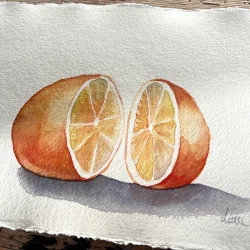 Akvarel - To halve - A4