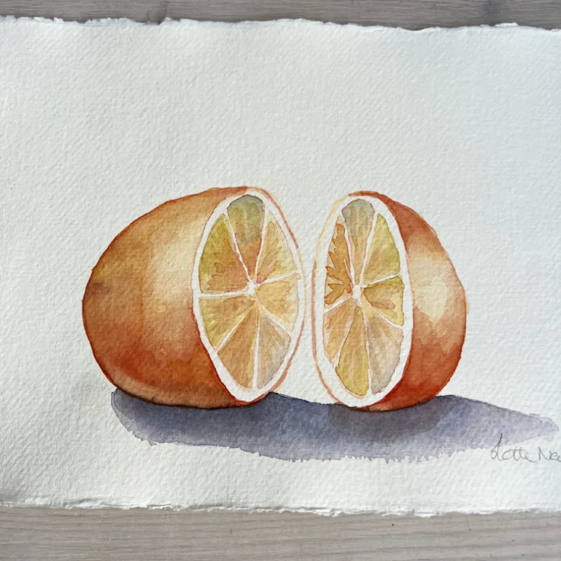 Akvarel - To halve - A4