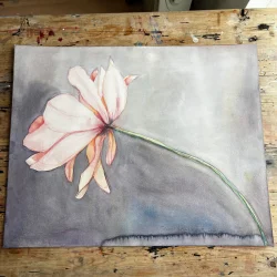 Akvarel - Tulipan - 40x50cm