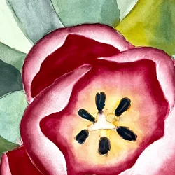 Akvarel - Tulipan i glasvase - 30x40cm