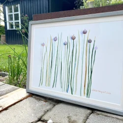 Original akvarel - Purl�g i gr� ramme - 30x40cm