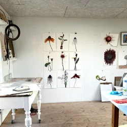 Mixed media - Kala i lille potte - A3