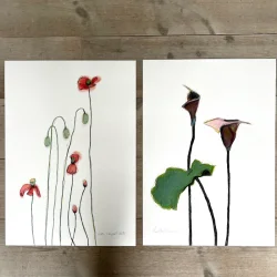 Mixed media - Valmuer - A3