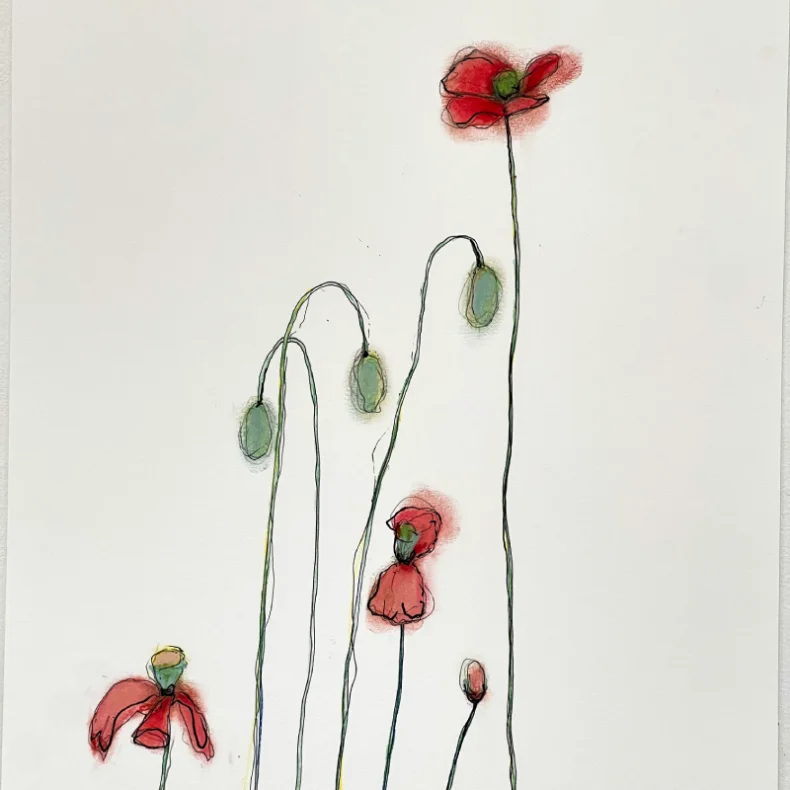 Mixed media - Valmuer - A3