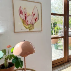 Akvarel - Young Flower - 50x50cm inkl egetr�ramme med artglas