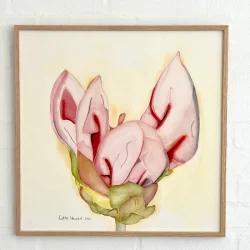 Akvarel - Young Flower - 50x50cm inkl egetr�ramme med artglas