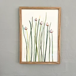 Original akvarel - Purl�g - A4 - inkl massiv egetr�ramme med artglas