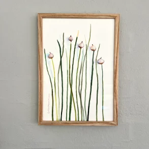 Original akvarel - Purl�g - A4 - inkl massiv egetr�ramme med artglas