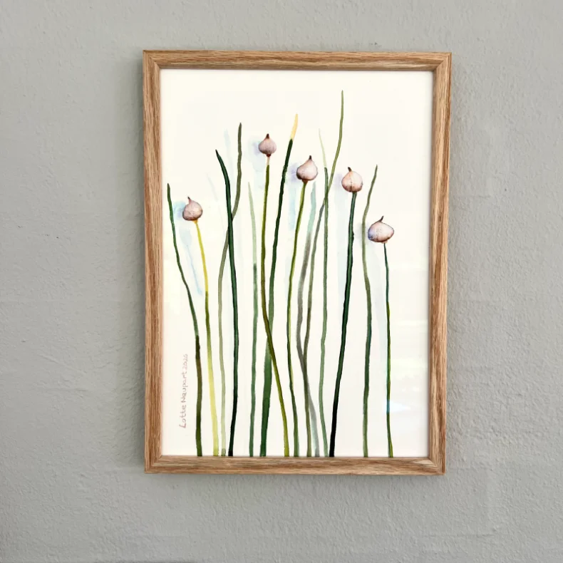 Original akvarel - Purl�g - A4 - inkl massiv egetr�ramme med artglas