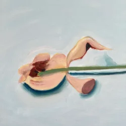 Oliemaleri - Afblomstring - 50x60cm