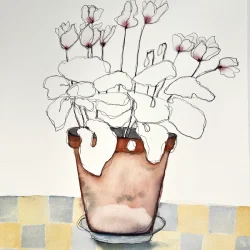 Tegning - Alpeviol - 30x40cm