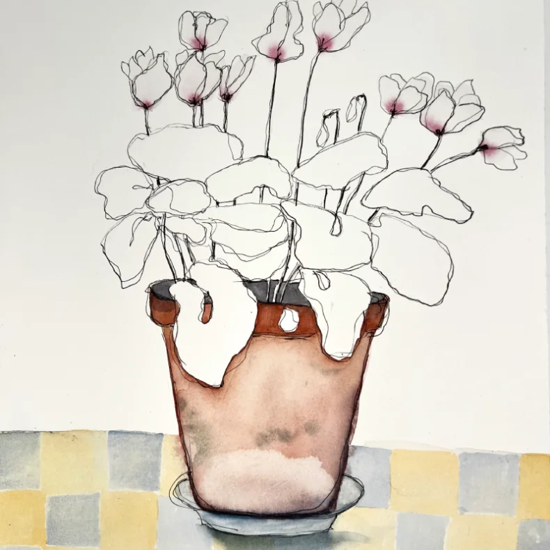 Tegning - Alpeviol - 30x40cm