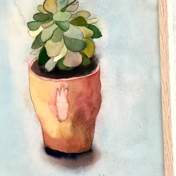 Orignial akvarel - Sukkulent - 36x26cm inkl egetr�ramme