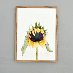 Akvarel - Solsikke - gul - 30x40cm 