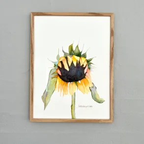 Akvarel - Solsikke - gul - 30x40cm 