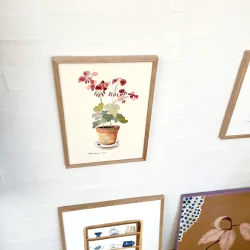 Original akvarel - Pelargonie i potte - 26x16cm  inkl egetr�ramme med museumsglas
