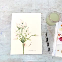 Original akvarel - Blomsterstand - indrammet 36x26cm